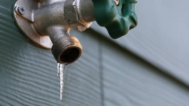 Best Hot Water Heater Installation  in Forest Hills, TN